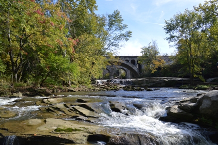 Brook Park