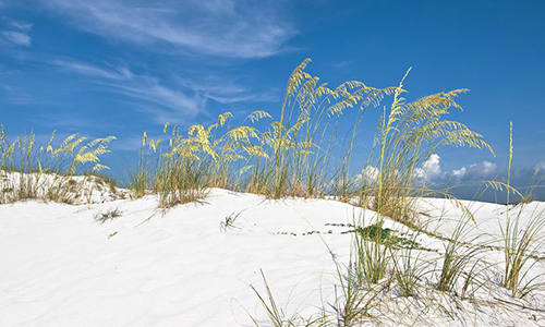 Vanderbilt Beach